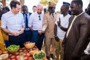 Field visit to Ndoyène in Senegal